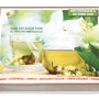 Buzzy ® Complete Mini Kweekset Thee